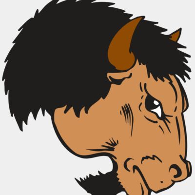 AR BUFFALO 16 RC Thumbnail