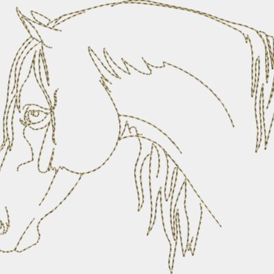 WS611 48 Thumbnail