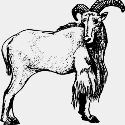 RAM001 Thumbnail
