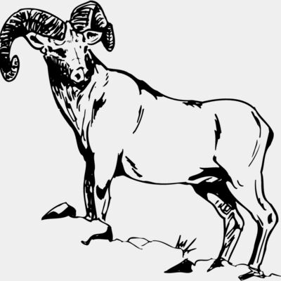 RAM013 Thumbnail