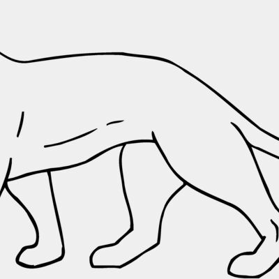 CAT05 Thumbnail