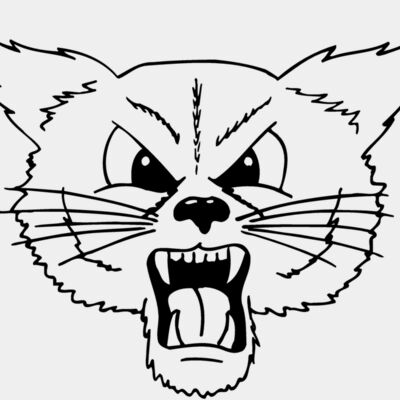 CAT20 Thumbnail