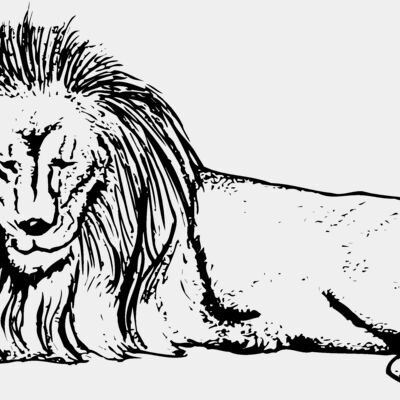 LION008 Thumbnail