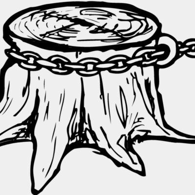 TIMBER15 Thumbnail