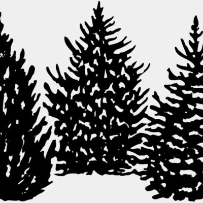 TREE0001 Thumbnail