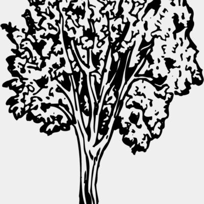 TREE0024 Thumbnail