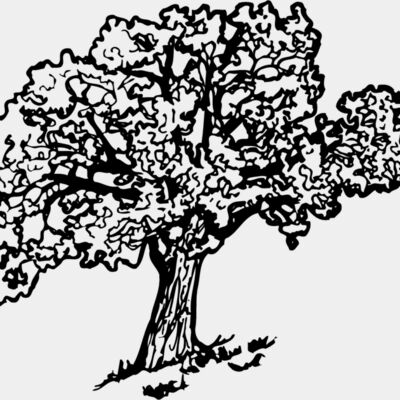 TREE0027 Thumbnail
