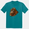 Youth PosiCharge ® Competitor Tee Thumbnail