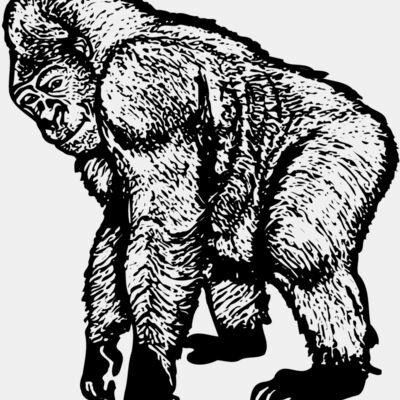 Monkey Thumbnail