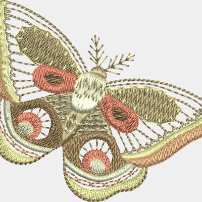 Moths Thumbnail